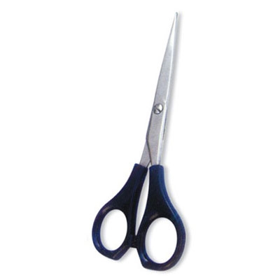 Professional Hair Cutting Scissor