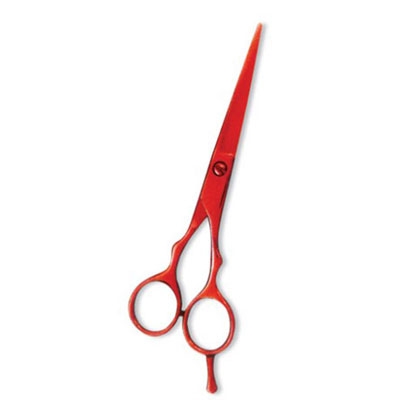 Professional Hair Cutting Scissor