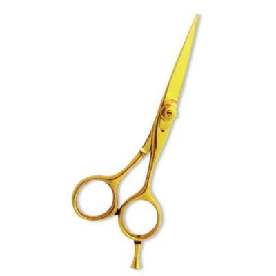 Professional Hair Cutting Scissor