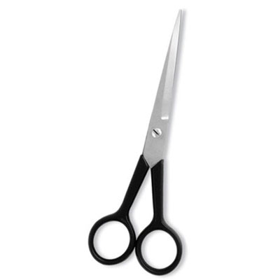 Professional Hair Cutting Scissor