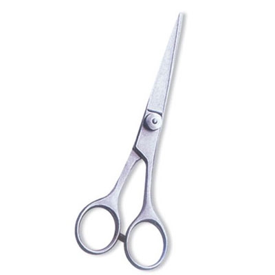 Professional Hair Cutting Scissor