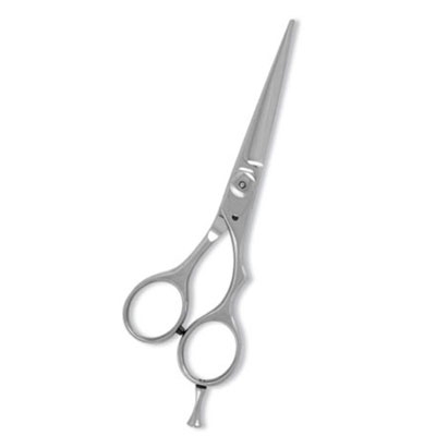 Professional Hair Cutting Scissor