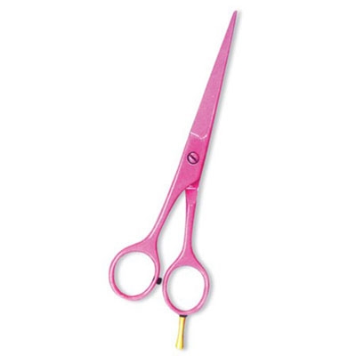 Professional Hair Cutting Scissor