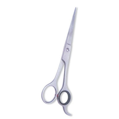 Professional Hair Cutting Scissor