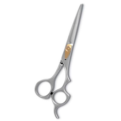Professional Hair Cutting Scissor