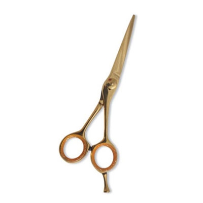Professional Hair Cutting Scissor
