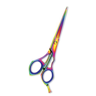 Professional Hair Cutting Scissor