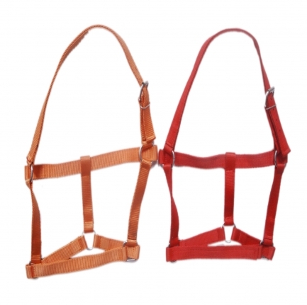 Halter and Girth