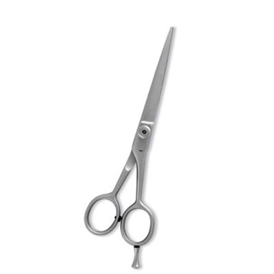 Professional Hair Cutting Scissor