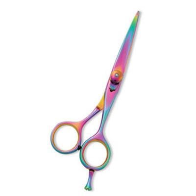 Professional Hair Cutting Scissor