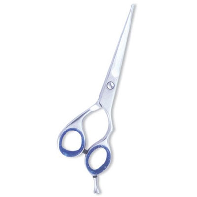 Professional Hair Cutting Scissor