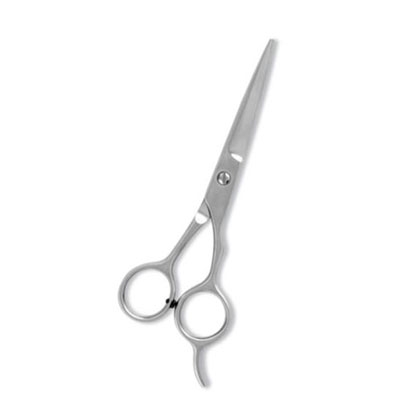 Professional Hair Cutting Scissor